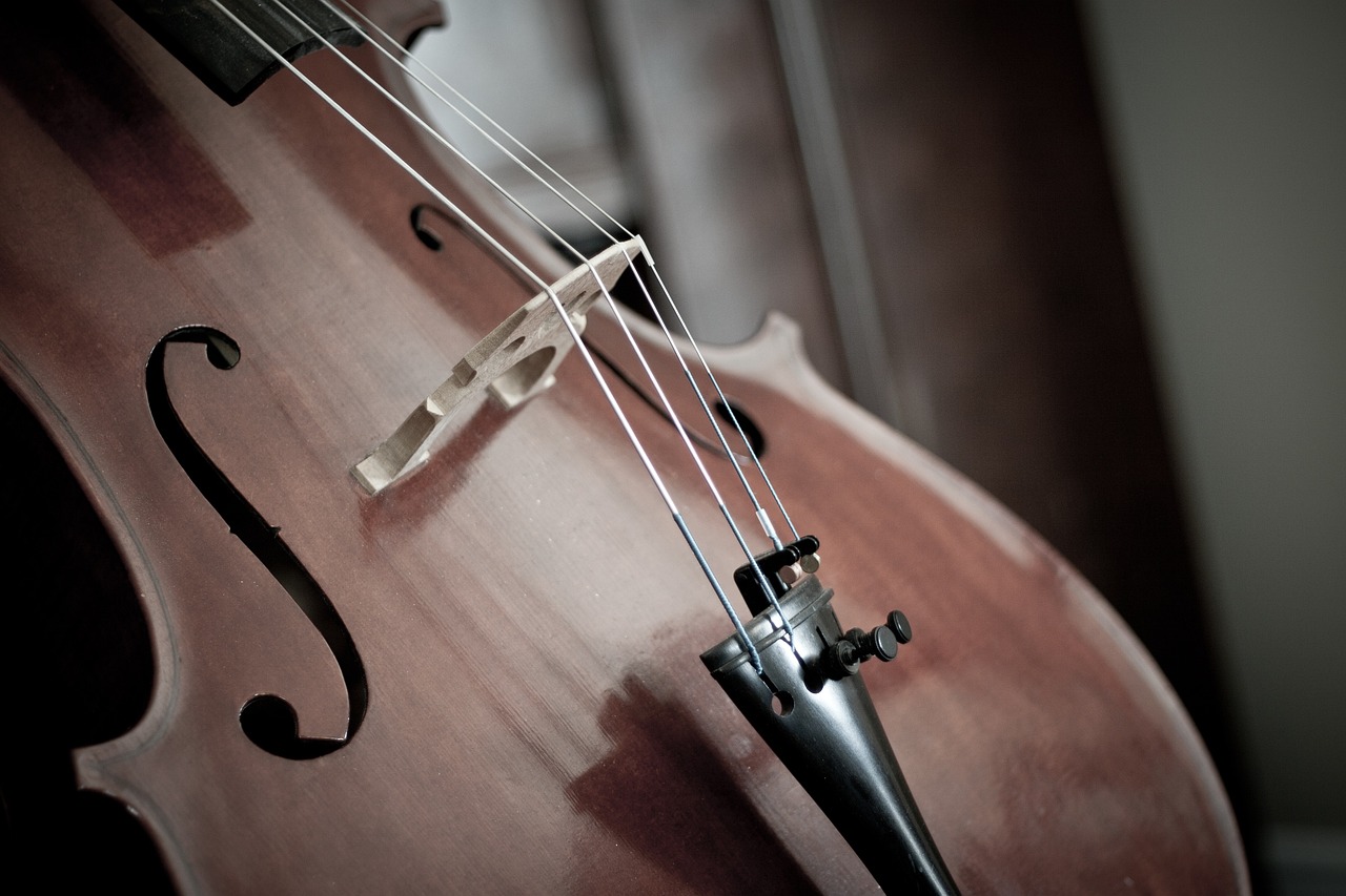 violoncelle